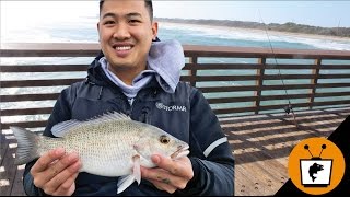 FLORIDA Pier Fishing Catch Fish Fast [upl. by Aleksandr]