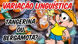 VARIAÇÃO LINGUÍSTICA [upl. by Romeon]