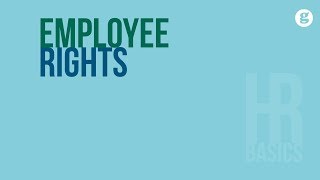 HR Basics Employee Rights [upl. by Jasik]