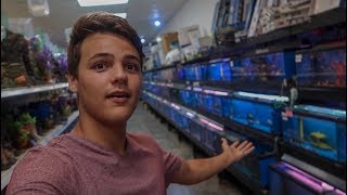 The COOLEST FISH STORE TOUR [upl. by Rein]