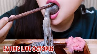 ASMR LIVE octopus challenge exotic food eating sound part 2LINHASMR [upl. by Rosenblast]