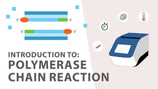 1 PCR Polymerase Chain Reaction Tutorial  An Introduction [upl. by Joelie]