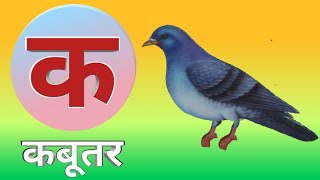 क से कबूतर  K se Kabutar  Hindi Varnamala Song [upl. by Gristede]