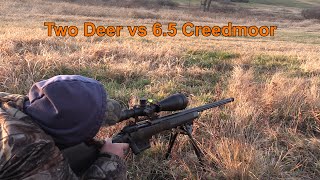 330 and 375 Yard Deer VS 65 Creedmoor [upl. by Milla]