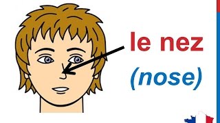 French Lesson 30  FACE BODY VOCABULARY  Le visage Parts of the head Partes del cuerpo en francés [upl. by Carlye]