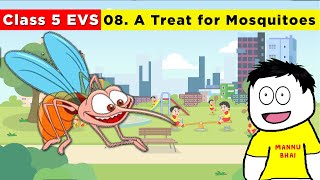 Class 5 Evs chapter 8  A Treat for Mosquitoes  Class 5 Evs  a treat for mosquitoes [upl. by Raouf]