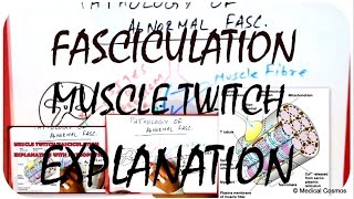 How To Perform Fecal Examinations [upl. by Anya]