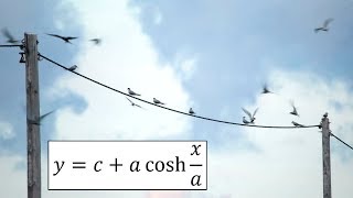 Hyperbolic Functions Catenary Example 4 Arc Length [upl. by Irodim988]