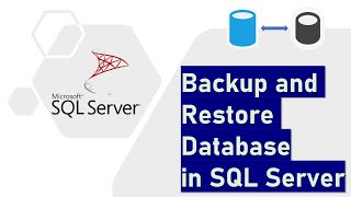 Backup and Restore Database in SQL Server [upl. by Jackquelin411]