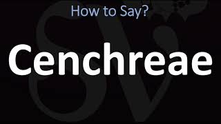 How to Pronounce Cenchreae CORRECTLY [upl. by Ahcmis924]