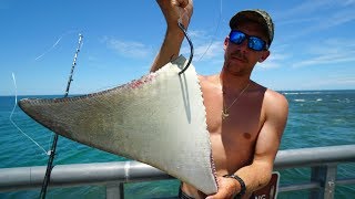 Dropping MASSIVE Baits for JETTY GIANTS [upl. by Aromas]