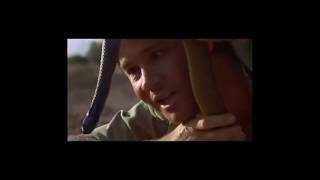 Steve Irwin The Crocodile Hunters Greatest Moments [upl. by Elok254]