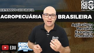 Geografia do Brasil  Agropecuária Brasileira [upl. by Aileen978]