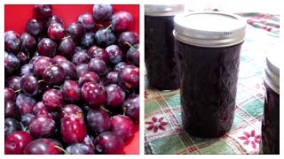 How to make Plum Jam  Canning Done Easy [upl. by Cele809]