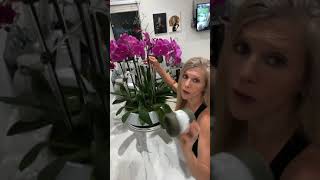 Real orchid arrangement tutorial [upl. by Ebarta]