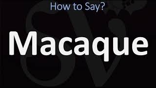 How to Pronounce Macaque CORRECTLY [upl. by Shum]