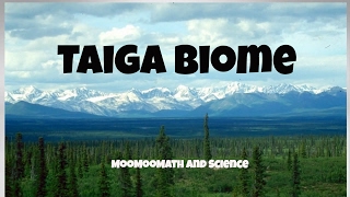 Taiga Biome Facts [upl. by Margarethe]