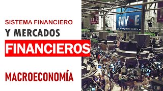 Sistema financiero concepto y participantes de mercados financieros [upl. by Nesto38]