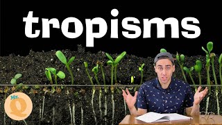 Plant Tropisms  For Kids [upl. by Akena235]