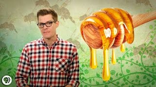 How Do Bees Make Honey [upl. by Gladis]