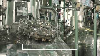 cGMP Manufacturing in Panoli India [upl. by Eedahs]