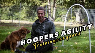 Hoopers Agility Trainingssequenz [upl. by Glynias]