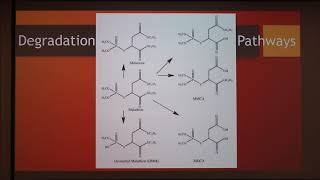 How to Mix and Use Permethrin SFR Insecticide [upl. by Adnuhsor248]