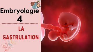 Embryologie  La Gastrulation   2020  شرح بالدارجة [upl. by Na]