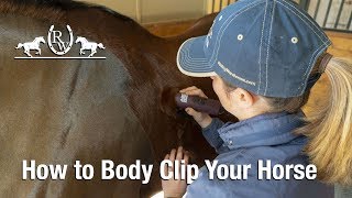 How to Body Clip Your Horse [upl. by Dionis]