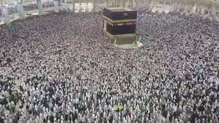 Hajj Tawaf 2019  Labbaik Allahumma Labbaik  Talash Peace [upl. by Kolnos]