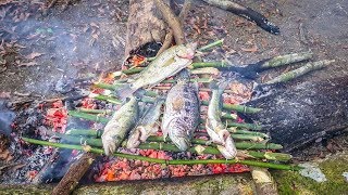 Tarde de pesca y cocina de guapotes en el río [upl. by Eittik]