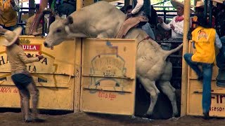 Toros BRAVOS en la Charrería [upl. by Chaille]