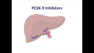 Mechanism of action of PCSK 9 inhibitors [upl. by Ahseile]