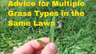 How to Handle Multiple Grass Types in the Same Lawn [upl. by Navonod]