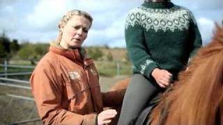 Íshestar  How to ride an Icelandic horse [upl. by Onurb854]