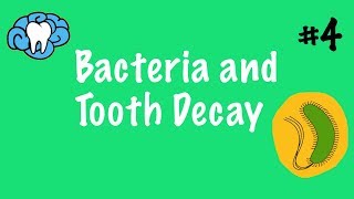 Bacterial Pathogenesis How Bacteria Cause Damage [upl. by Akiemaj]