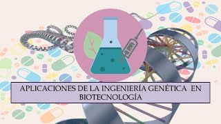 Aplicaciones de la Ingeniería Genética en Biotecnología [upl. by Englebert]