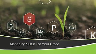 Managing Sulfur For Your Crops From Ag PhD Show 1184  Air Date 121320 [upl. by Yenar]