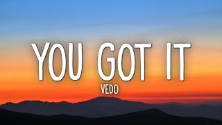 Vedo  You Got It Lyrics [upl. by Asaph817]