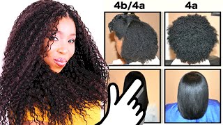 Natural Hair Types EXPLAINED In Detail w PICTURES 4C 4B amp 4A HAIR CHART [upl. by Palua]