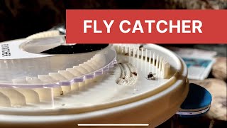 Electronic Housefly Trap  Electric Fly Catcher [upl. by Fougere]