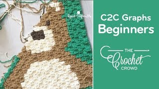 How to Crochet Corner to Corner C2C Graphghans for Beginners [upl. by Metabel]