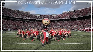 Ohio State Dance Team and Brutus Buckeye NEW KILLER dance [upl. by Odawa]