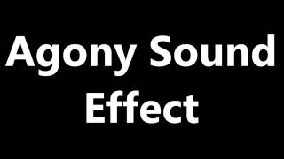 Agony Sound Effect [upl. by Ettenan]