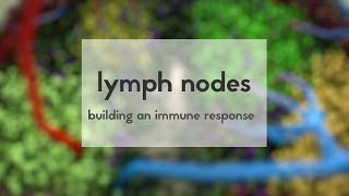 Having a lymph node biopsy [upl. by Llieno]