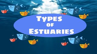 Types of estuaries [upl. by Ylim]