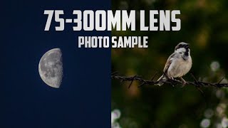 Canon 75300mm lens Photo samples  75300mm lens review  Best photography lens  perfect capture [upl. by Ennairrek]