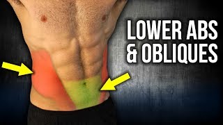 4min Home LOWER ABS and OBLIQUES Workouts NO EQUIPMENT [upl. by Hulbig]