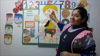 SISTEMA DIGESTIVO  para niños de 5 años nivel inicial [upl. by Keverne858]