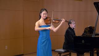 Paganini Violin Concerto in D major 1st movement [upl. by Riay]